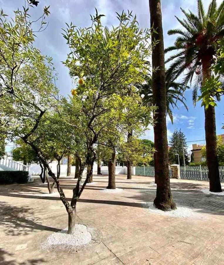 Nuevo Los Almendros 204 Complejo Turístico Apartamento Córdoba Exterior foto