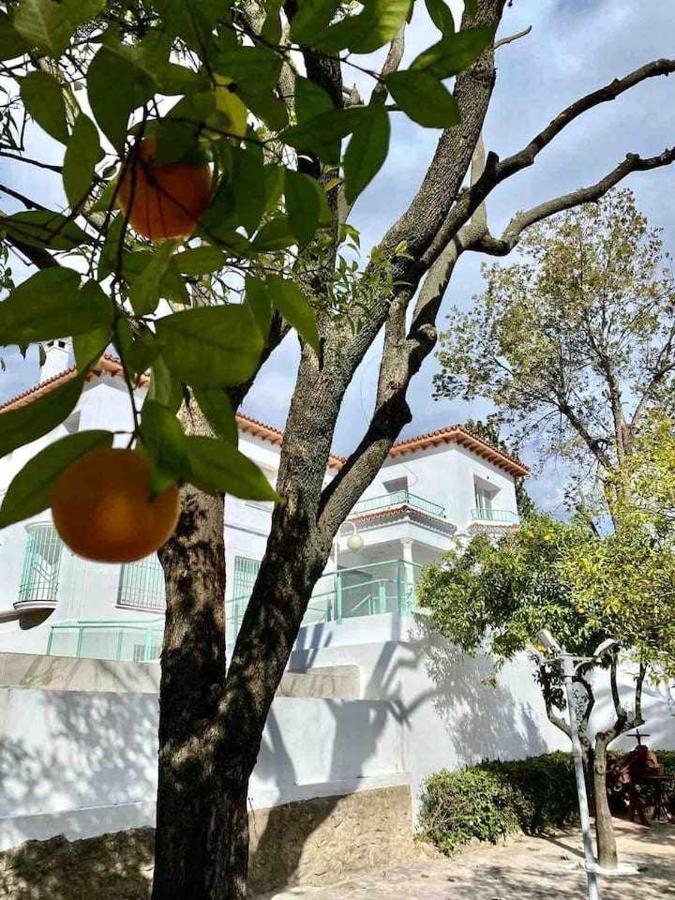 Nuevo Los Almendros 204 Complejo Turístico Apartamento Córdoba Exterior foto
